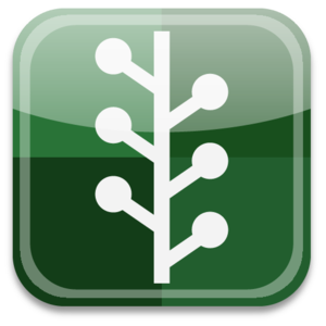 Nicholas Knauer avatar