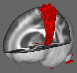 Vivian R. Steiger avatar