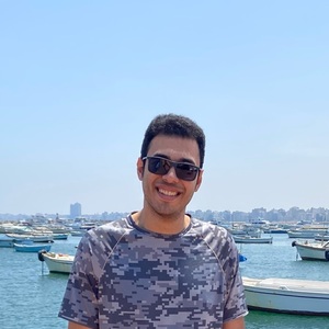Mina Basem Avatar