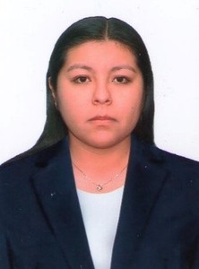 Denis Cárdenas Inca avatar