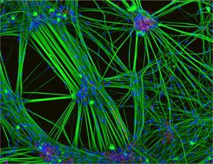 Julie Gasnier avatar