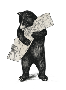 Yesenia Garcia avatar