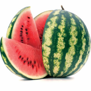 Maëlle Daunesse avatar