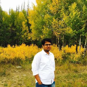 Sri Vijay Chaparala avatar