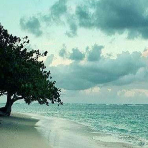 Anwesha Tomar avatar