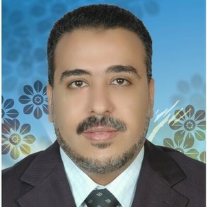 Dr. Ayman Madbouly avatar