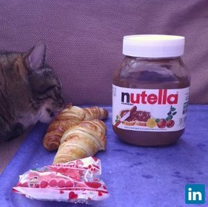 Loic Pessonnier avatar