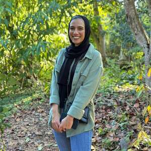 User portfolio avatar