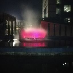 Primula Mukherjee avatar