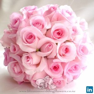 Buvana Chandrasekaran avatar