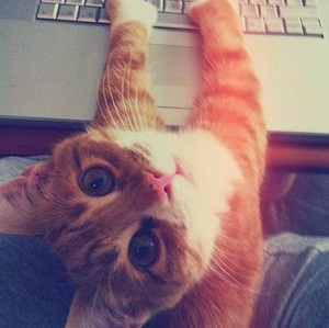 Sotiria Ligkou avatar