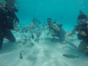 Alfredo Barreto avatar