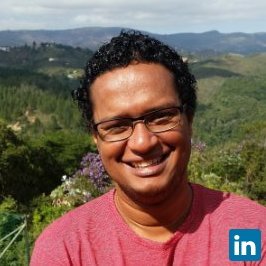 Fabio Ismerim avatar