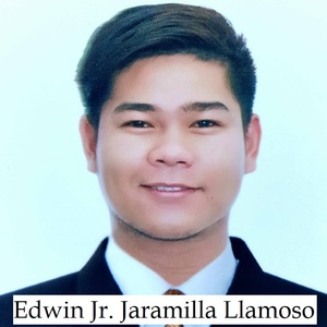 Edwin Jr.  Llamoso avatar