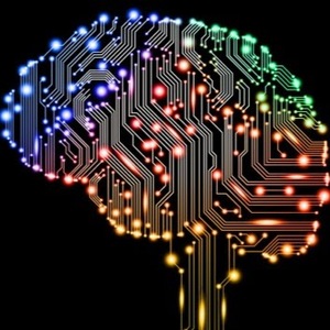 Adams Ibrahim avatar