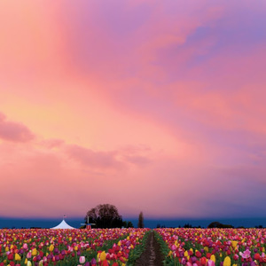 Akshata Prabhu avatar