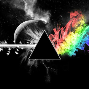 Ali Asad Rashid avatar