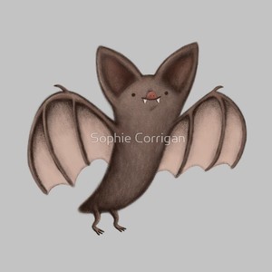 Felipe Hurtado Ferro avatar