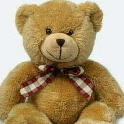 Priyanshi Gupta avatar