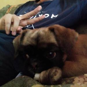 Pablo César Benavides Urbano avatar