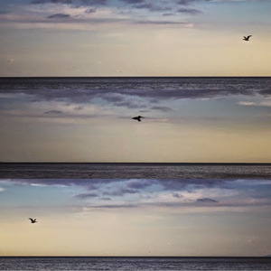 David Eduardo Moreno Arias avatar