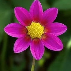 Haritha Yalamanchili avatar