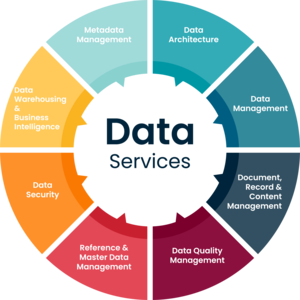 Data Services OSI Avatar