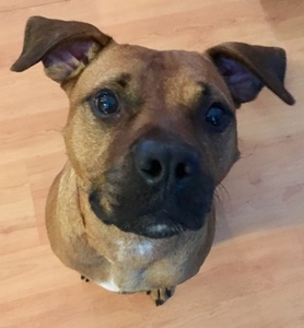 Stephanie Gervasi avatar