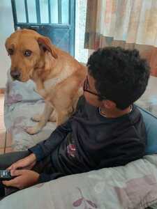 Samir Santoscoy avatar