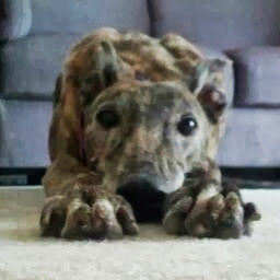 Benjamin Faircloth avatar