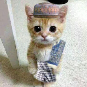 Muhammad Nizwa Faikar Syah avatar