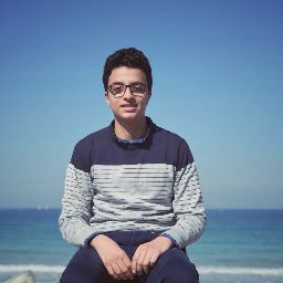 Assem Hassan Salama avatar