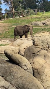 Ethan Galebach avatar