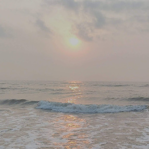 Raja Manickam avatar