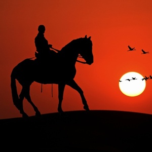 Ihor Konovalenko avatar