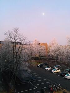 Phuong Thuy Tien Le avatar