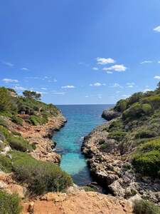 User portfolio avatar