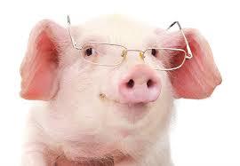 Juan Sebastián Martínez Bermúdez avatar