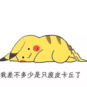 XING GAO avatar