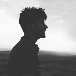 Prankur Singrol avatar