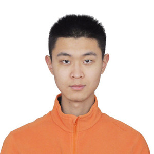 Yangtian Ye avatar