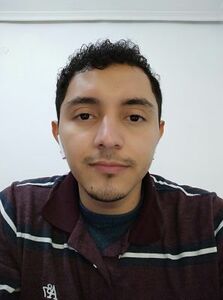 Alex Dario Flores Aplicano avatar