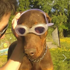 Fernando Vallejos-Burgos avatar