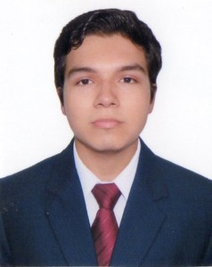 Brandon Chauca Campo avatar