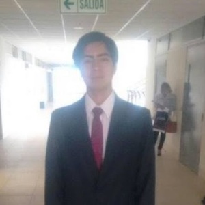 Brandon Marcel Del Pozo Rojas avatar