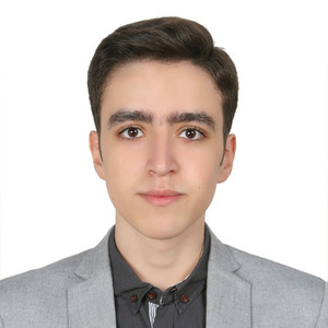 Amir Mahdi Majedi avatar