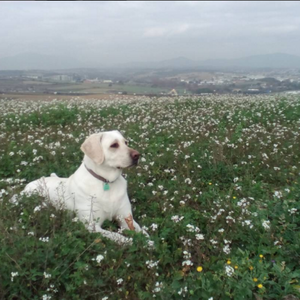 Alex Sarra Olmo avatar