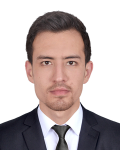 Sayed Ali Mazhar Sadat avatar