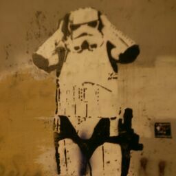 Maxim Yergiyev avatar