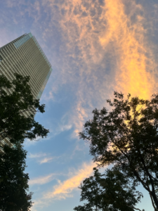 Julieta  Matevosyan avatar